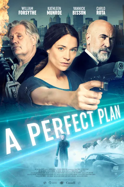 A Perfect Plan
