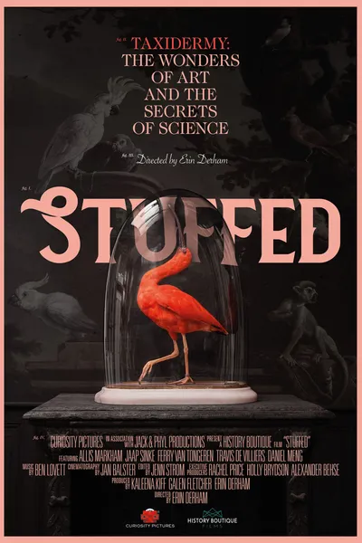 Stuffed