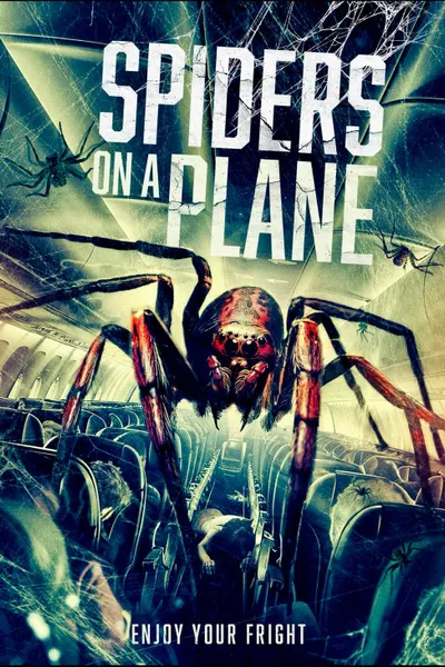 Spiders on a Plane