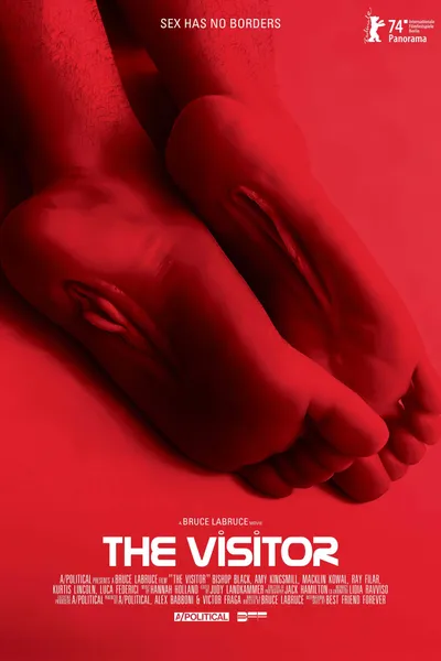 The Visitor