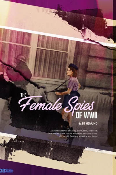 Female Spies: Courage and Espionage in WWII