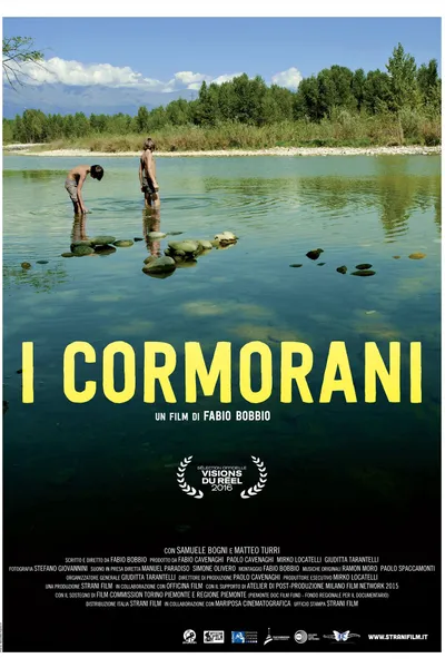 The Cormorants