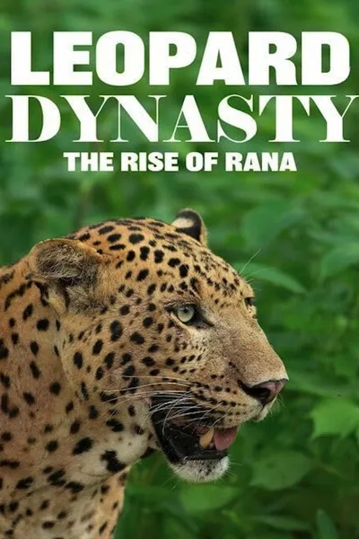 Leopard Dynasty – The Rise of Rana