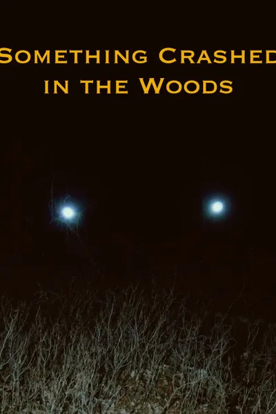 Something Crashed in the Woods
