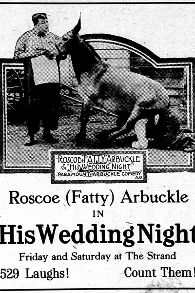 His Wedding Night