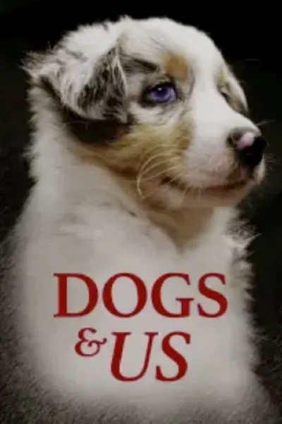 Dogs & Us - The Secret of a Friendship