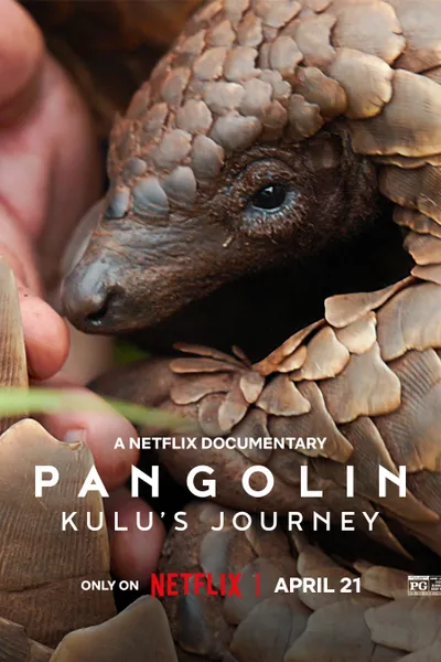 Pangolin: Kulu's Journey