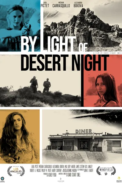 By Light of Desert Night