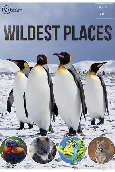 Wildest Places