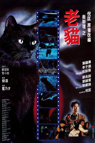 The Cat