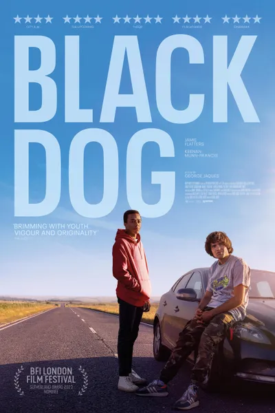 Black Dog