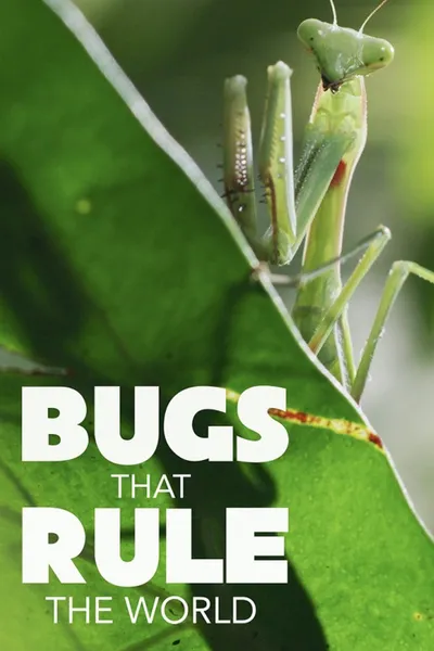 Bugs That Rule the World