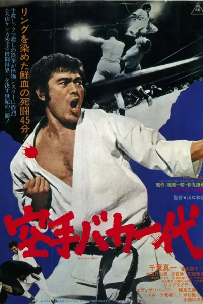 Karate baka ichidai