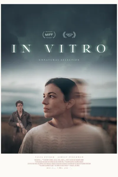 In Vitro
