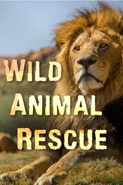 Wild Animal Rescue