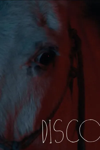 Disco