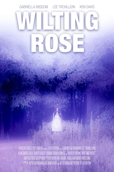 Wilting Rose