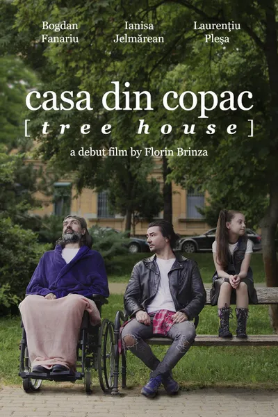 Casa din copac