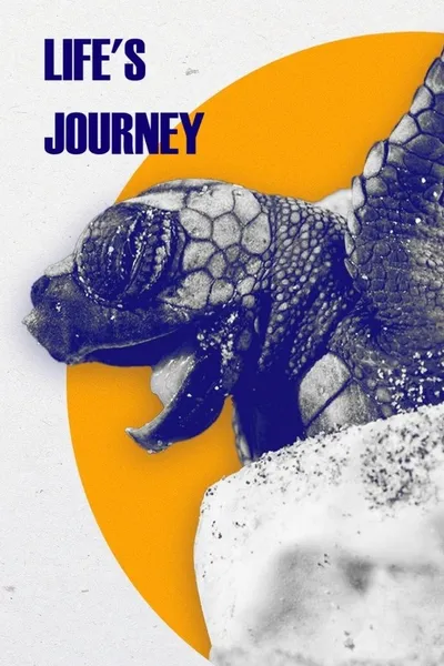 Life's Journey