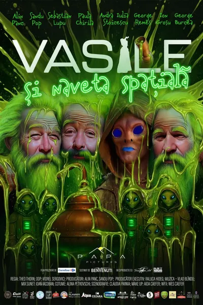 Vasile si naveta spatiala