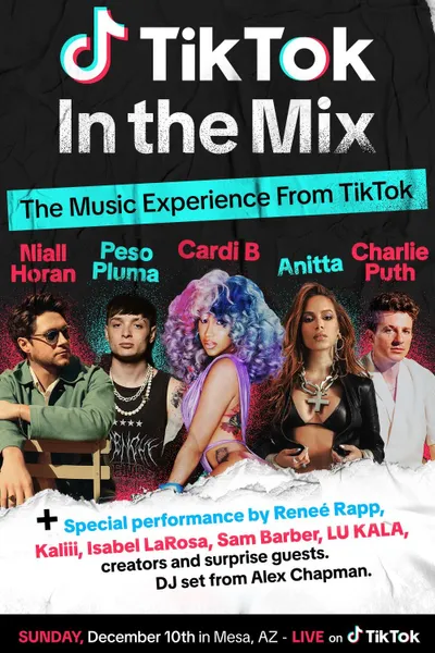 TikTok in the Mix