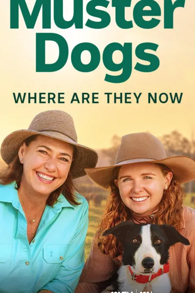 Muster Dogs: Where Are They Now