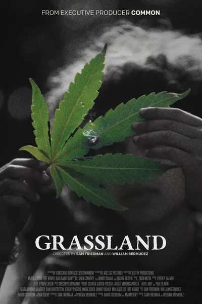Grassland