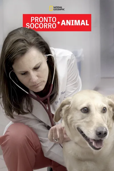 Animal ER