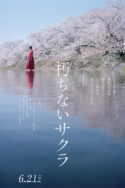 Sakura