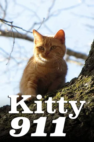 Kitty 911