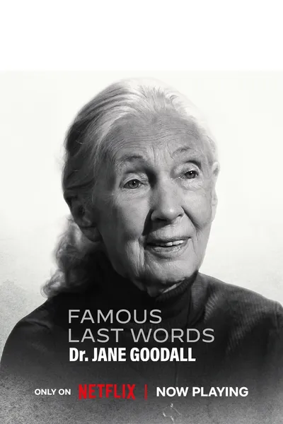 Famous Last Words