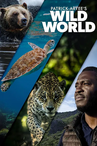 Patrick Aryee's Wild World
