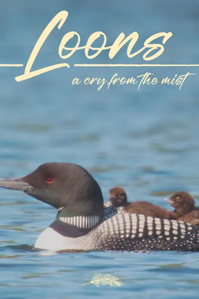 Loons: A Cry from the Mist