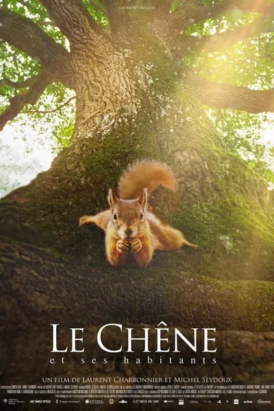 Le chêne