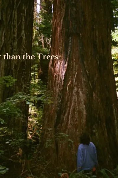 Taller Than the Trees