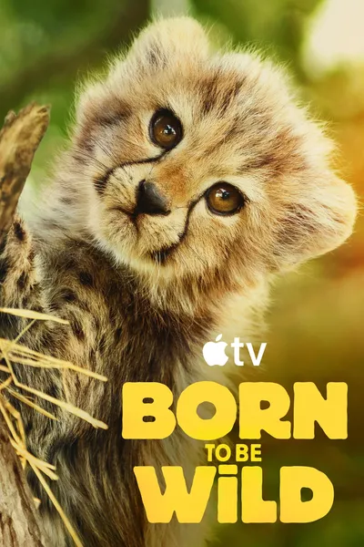 Born to be Wild