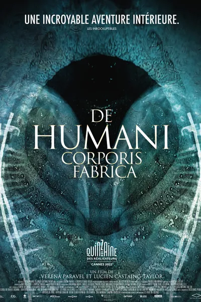 The Fabric of the Human Body