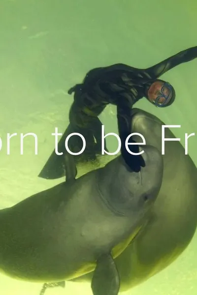 Born to Be Free