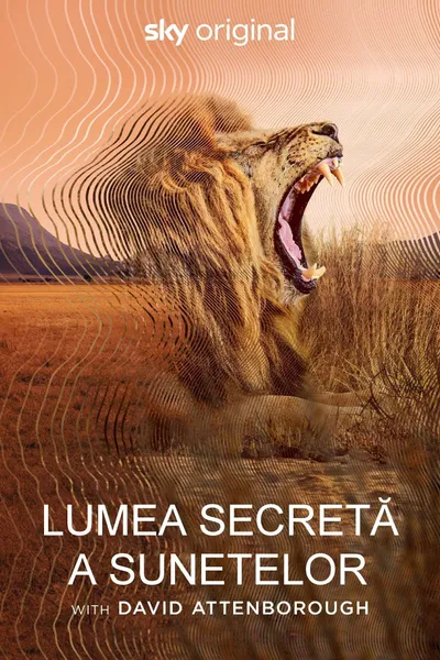 Secret World of Sound
