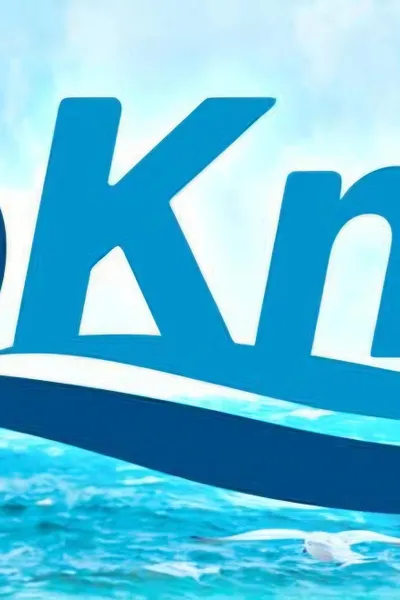 TopKnotz
